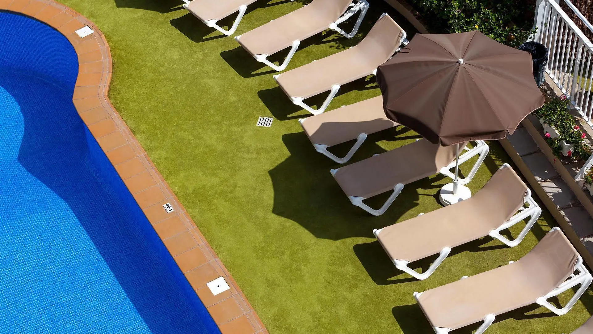 Apartamentos Los Dragos Del Norte Puerto de la Cruz