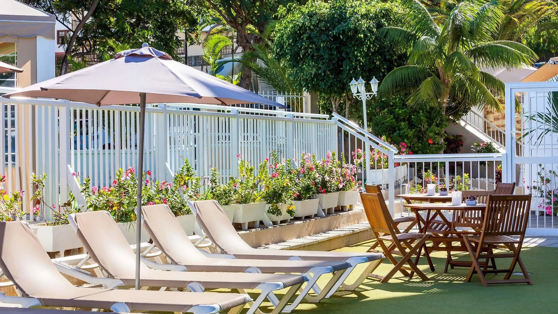 Apartamentos Los Dragos Del Norte Puerto de la Cruz  Espanha