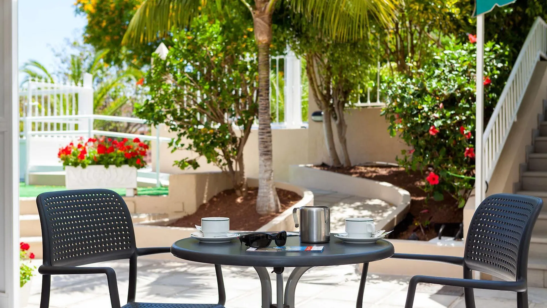 Apartamentos Los Dragos Del Norte Puerto de la Cruz  Puerto de la Cruz (Tenerife)
