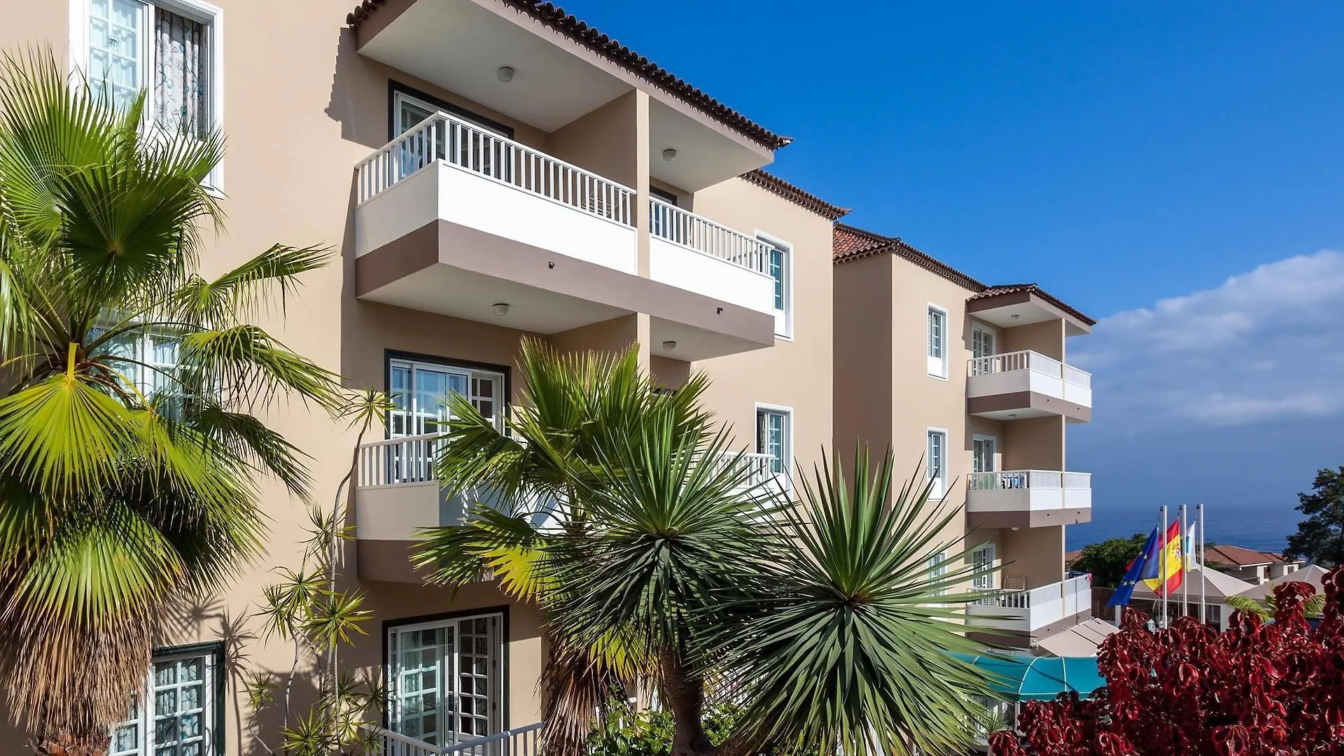 Apartamentos Los Dragos Del Norte Puerto de la Cruz  Puerto de la Cruz (Tenerife)